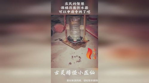 农民的智慧,酒桶改装饮水器,可以申请专利了吧